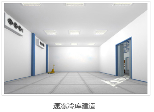 速凍冷庫(kù)建造