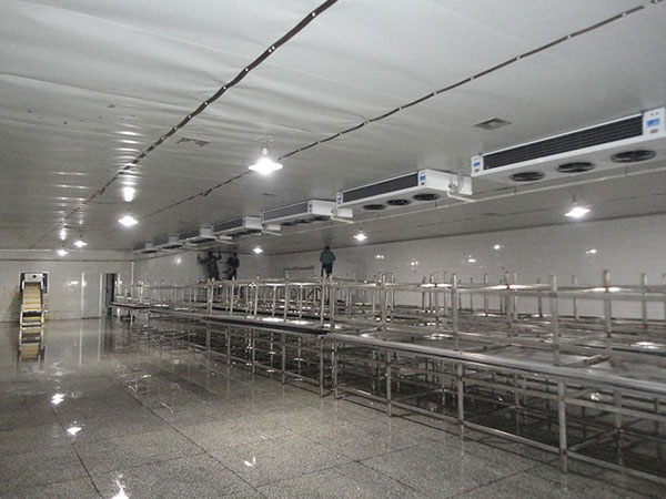 速凍冷庫(kù)建造