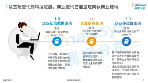 中國商業(yè)查詢市場分析2021