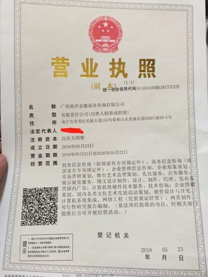 廣西商務(wù)咨詢與商務(wù)信息咨詢 區(qū)域經(jīng)濟(jì)騰飛的智慧引擎